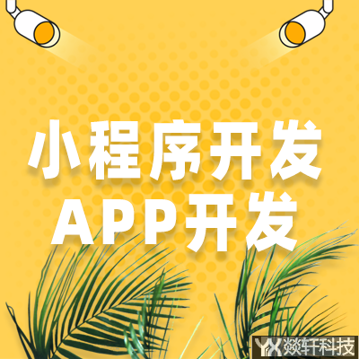 定制開發(fā)有什么好處？為什么要開發(fā)app？使用起來效果不好？